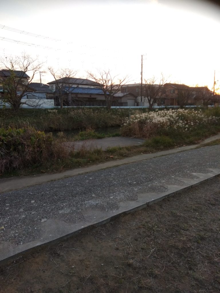 矢那川公園